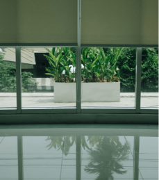windows near me